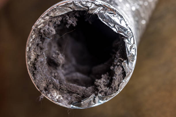 Best Emergency Air Duct Cleaning  in Lacy Lakeview, TX